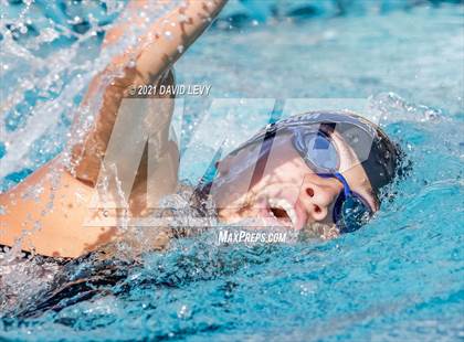 Thumbnail 1 in AIA D2 Swim Finals photogallery.
