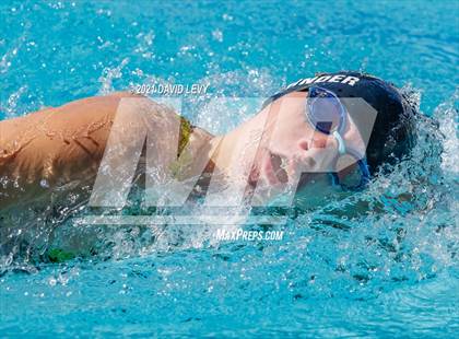 Thumbnail 1 in AIA D2 Swim Finals photogallery.