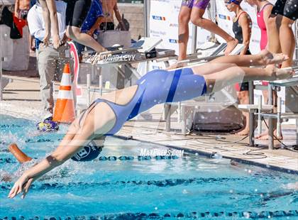 Thumbnail 3 in AIA D2 Swim Finals photogallery.