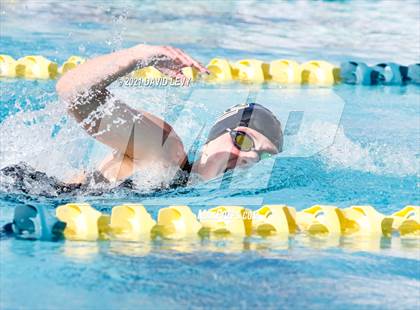 Thumbnail 3 in AIA D2 Swim Finals photogallery.