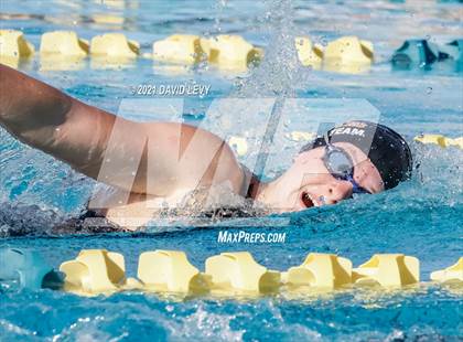 Thumbnail 3 in AIA D2 Swim Finals photogallery.