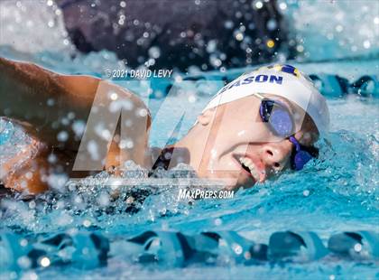 Thumbnail 1 in AIA D2 Swim Finals photogallery.