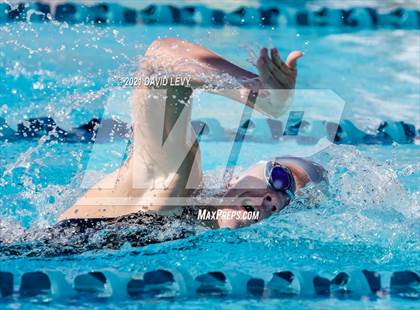Thumbnail 1 in AIA D2 Swim Finals photogallery.