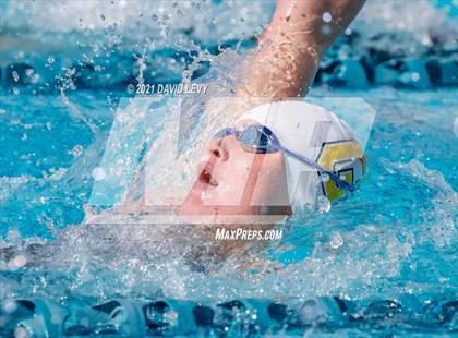 Thumbnail 2 in AIA D2 Swim Finals photogallery.