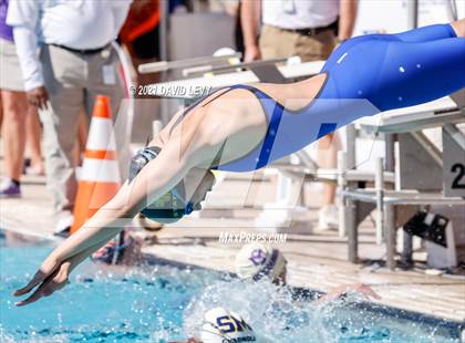 Thumbnail 3 in AIA D2 Swim Finals photogallery.