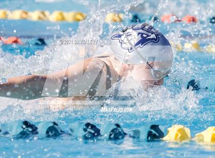Thumbnail 1 in AIA D2 Swim Finals photogallery.