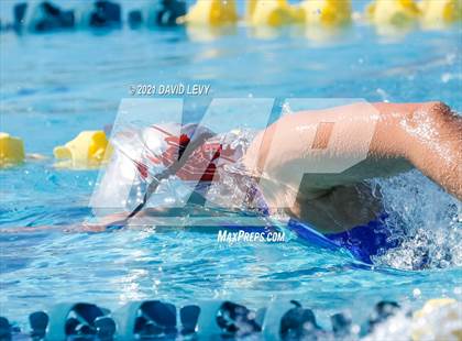 Thumbnail 1 in AIA D2 Swim Finals photogallery.