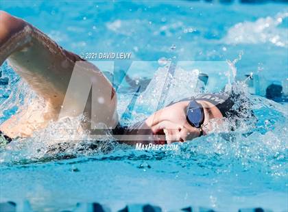 Thumbnail 1 in AIA D2 Swim Finals photogallery.
