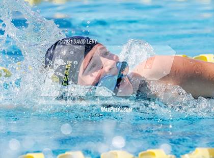 Thumbnail 3 in AIA D2 Swim Finals photogallery.