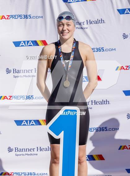 Thumbnail 1 in AIA D2 Swim Finals photogallery.