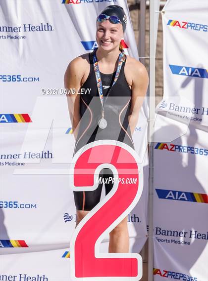 Thumbnail 3 in AIA D2 Swim Finals photogallery.