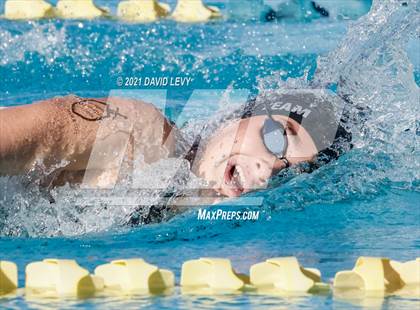Thumbnail 2 in AIA D2 Swim Finals photogallery.
