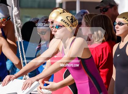 Thumbnail 1 in AIA D2 Swim Finals photogallery.