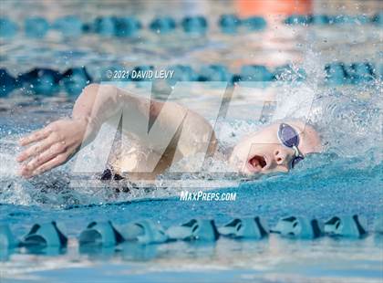Thumbnail 3 in AIA D2 Swim Finals photogallery.