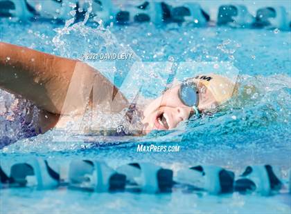 Thumbnail 2 in AIA D2 Swim Finals photogallery.
