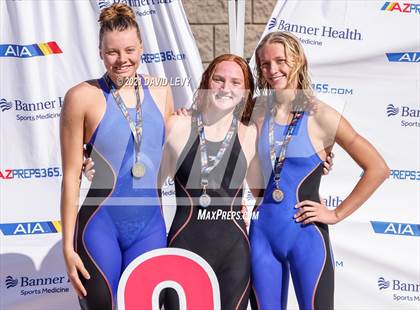 Thumbnail 1 in AIA D2 Swim Finals photogallery.