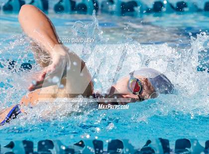 Thumbnail 2 in AIA D2 Swim Finals photogallery.