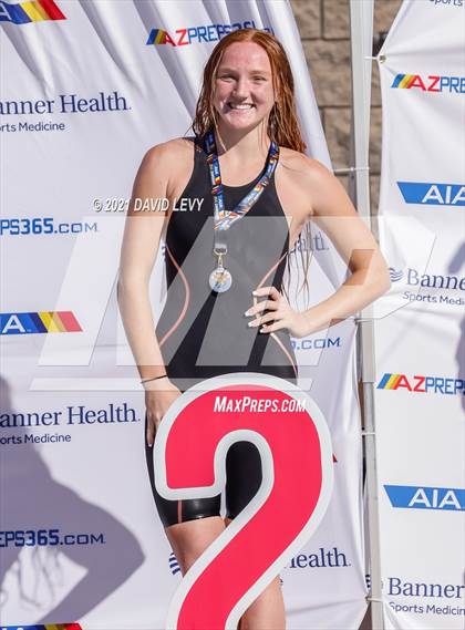 Thumbnail 3 in AIA D2 Swim Finals photogallery.