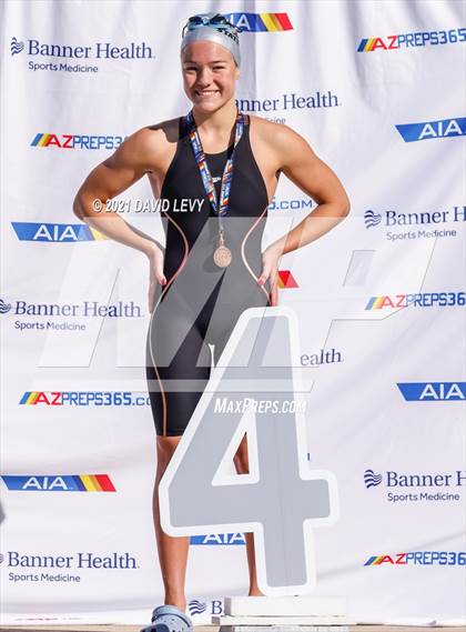 Thumbnail 1 in AIA D2 Swim Finals photogallery.