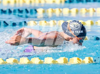 Thumbnail 3 in AIA D2 Swim Finals photogallery.