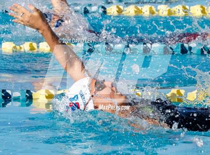 Thumbnail 3 in AIA D2 Swim Finals photogallery.