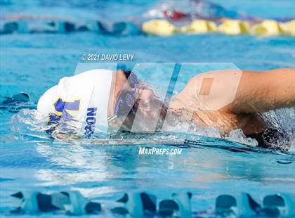 Thumbnail 3 in AIA D2 Swim Finals photogallery.
