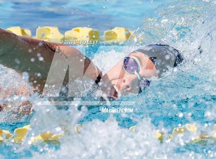 Thumbnail 2 in AIA D2 Swim Finals photogallery.