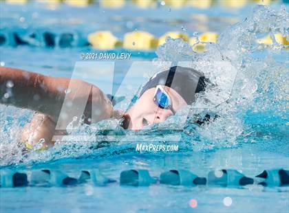 Thumbnail 3 in AIA D2 Swim Finals photogallery.