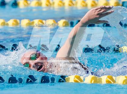 Thumbnail 2 in AIA D2 Swim Finals photogallery.