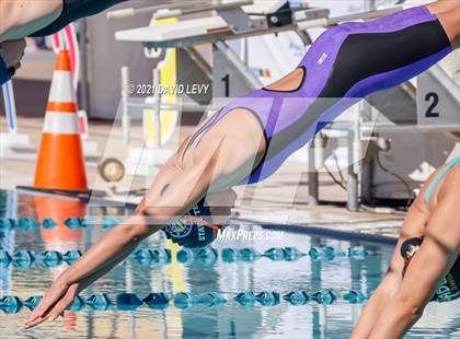 Thumbnail 2 in AIA D2 Swim Finals photogallery.