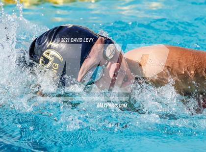 Thumbnail 1 in AIA D2 Swim Finals photogallery.