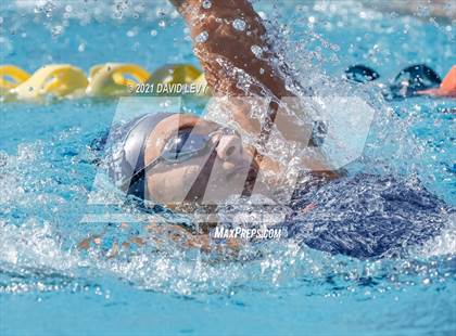 Thumbnail 1 in AIA D2 Swim Finals photogallery.