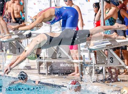 Thumbnail 1 in AIA D2 Swim Finals photogallery.