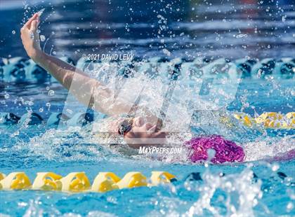 Thumbnail 3 in AIA D2 Swim Finals photogallery.