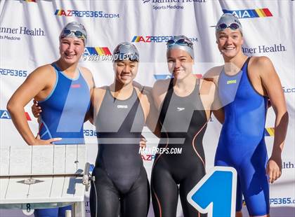 Thumbnail 2 in AIA D2 Swim Finals photogallery.