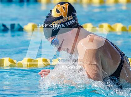 Thumbnail 3 in AIA D2 Swim Finals photogallery.