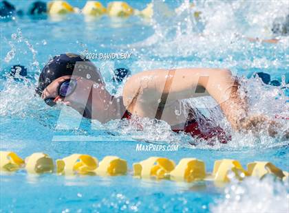 Thumbnail 2 in AIA D2 Swim Finals photogallery.