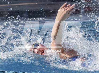 Thumbnail 1 in AIA D2 Swim Finals photogallery.