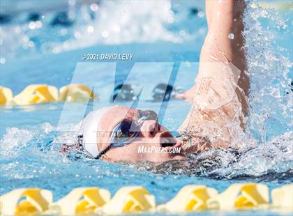 Thumbnail 1 in AIA D2 Swim Finals photogallery.