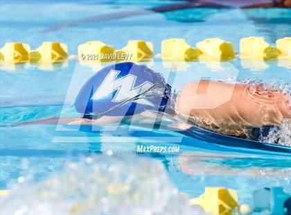 Thumbnail 3 in AIA D2 Swim Finals photogallery.