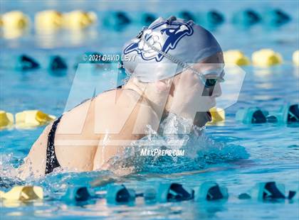Thumbnail 3 in AIA D2 Swim Finals photogallery.