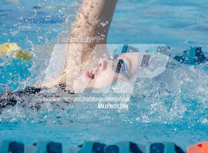 Thumbnail 2 in AIA D2 Swim Finals photogallery.