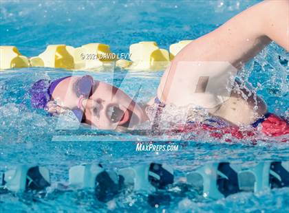 Thumbnail 1 in AIA D2 Swim Finals photogallery.