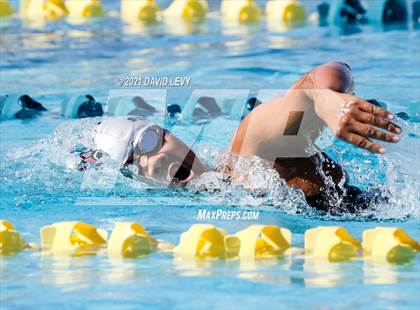 Thumbnail 3 in AIA D2 Swim Finals photogallery.