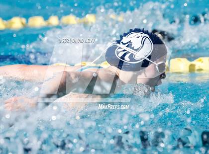 Thumbnail 1 in AIA D2 Swim Finals photogallery.
