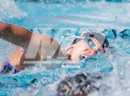 Thumbnail 1 in AIA D2 Swim Finals photogallery.