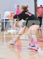 Photo from the gallery "Willow Canyon @ Paradise Valley"