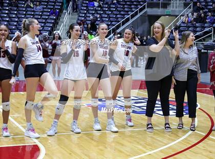 Thumbnail 2 in Davenport vs. Celina (UIL 4A Volleyball Semifinal Medal Ceremony) photogallery.