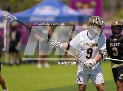 Thumbnail 3 in Plant @ St. Thomas Aquinas (FHSAA 2A Semifinal) photogallery.