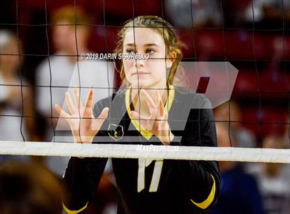 Thumbnail 3 in Basha vs Perry (AIA 6A State Finals) photogallery.